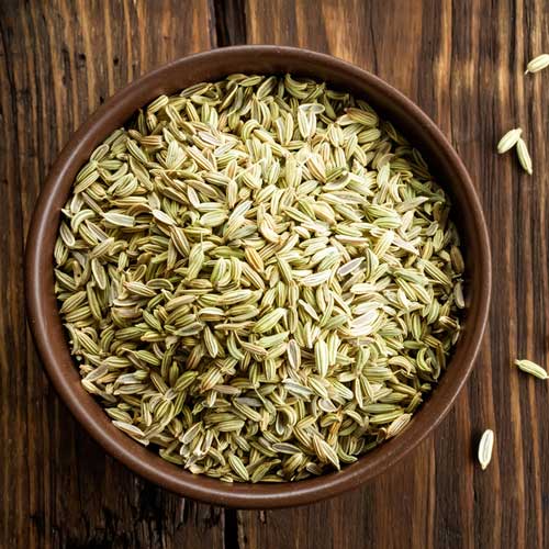 Fennel Seeds